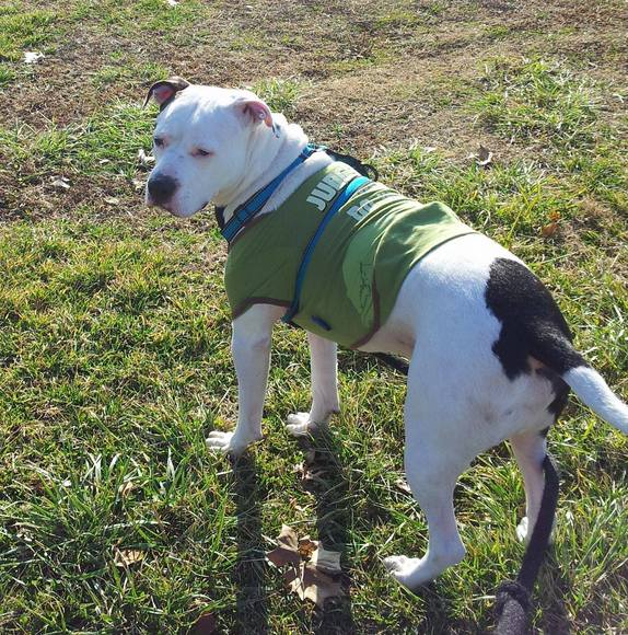 Meet your Posher, Amber - Picture 1 of 1